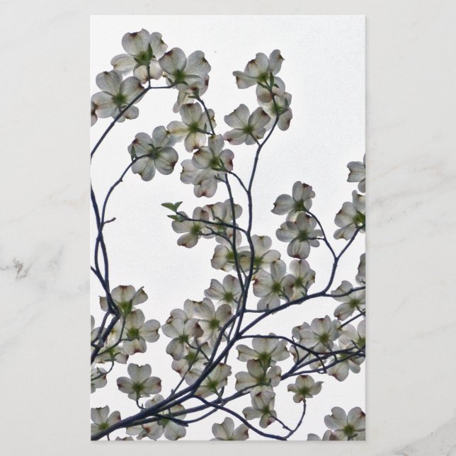 White Flowering Dogwood Stationery (Front)