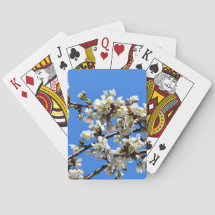 White flowering spring tree white floral blossom  playing cards
