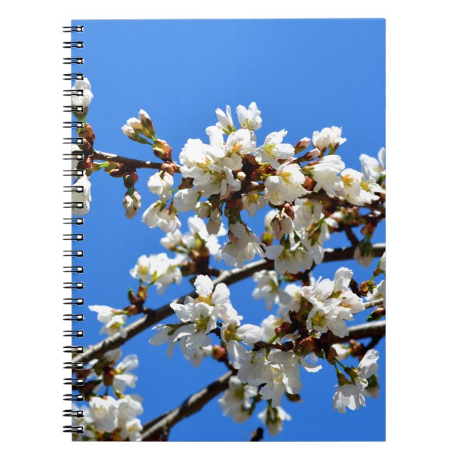 White flowering spring tree white floral blossom  spiral notebook (Front)