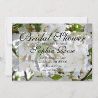 White flowering tree Blossoms