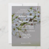 White Flowering Tree Wedding