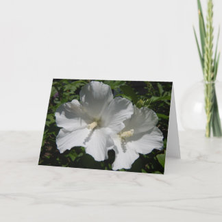 White flowers blank greeting card