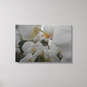 White Flowers Canvas Print