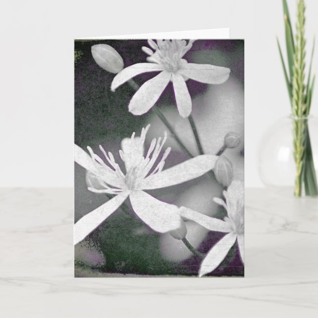 White Flowers Card (Front)