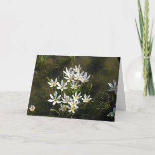 White Flowers Card