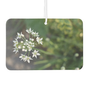 White Flowers Delicate Floral Blossom Nature Photo Car Air Freshener