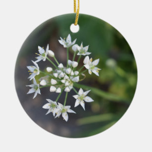 White Flowers Delicate Floral Blossom Nature Photo Ceramic Tree Decoration