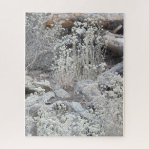 White flowers in forest jigsaw puzzle