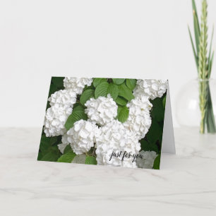 White Flowers Just For You Card