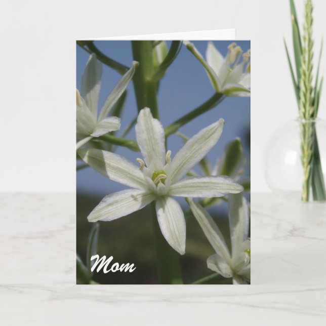 White Flowers Mother's Day Card (Front)