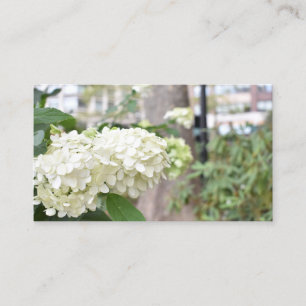 White Flowers New York Architecture Floral Photo Business Card