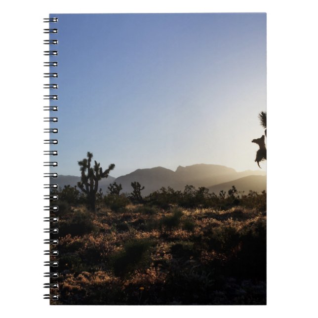 WHITE FLOWERS NOTEBOOK (Front)