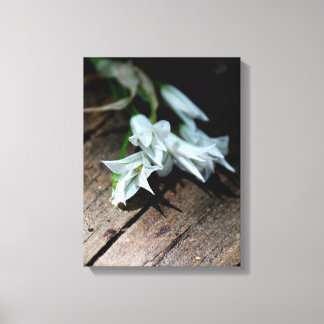 White Flowers On A Bench Canvas Print