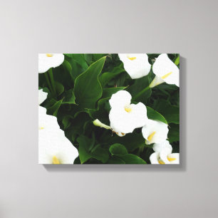 White Flowers Photo Print