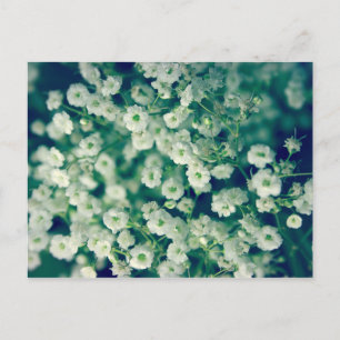White flowers postcard