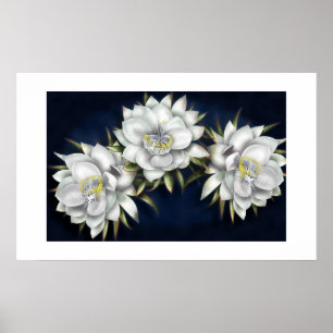 White Flowers Poster