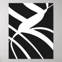 White Flowing Curves on a Black Background