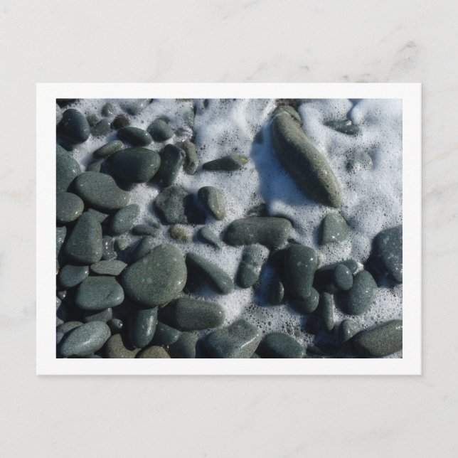 white foam and black pebbles postcard (Front)