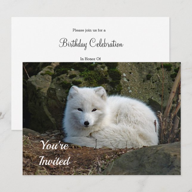 White Fox Photo Birthday Invitation (Front/Back)