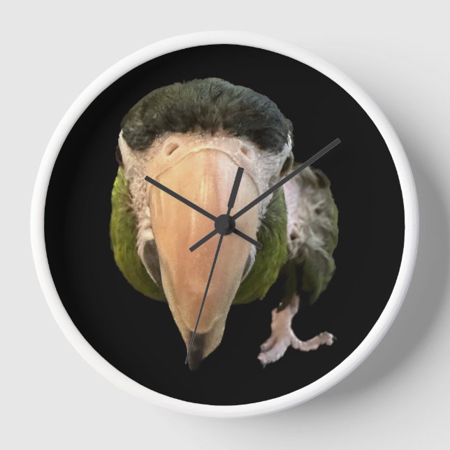 white framed beakysnooter clock (Front)