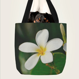 White Frangipani Canvas Print Laptop Sleeve Servin Tote Bag
