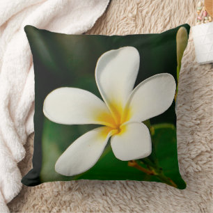 White Frangipani Cushion