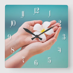 White frangipani flowers square wall clock