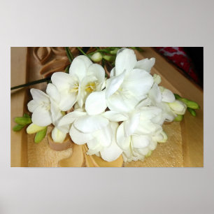 White Freesia Bouquet Poster