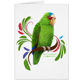 White Fronted Amazon