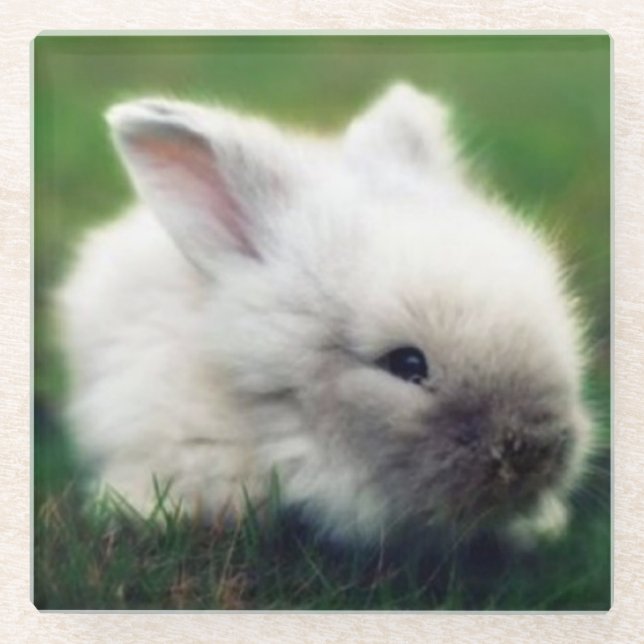 White fuzzy baby bunny glass coaster (Front)