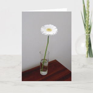 White Garbera 2 Card