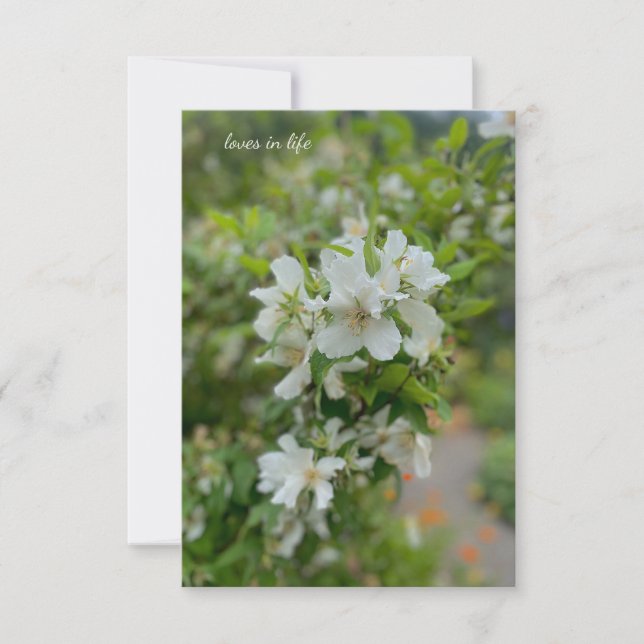 White Garden Flowers Card (Front)