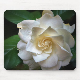 White Gardenia Flower Mouse Pad