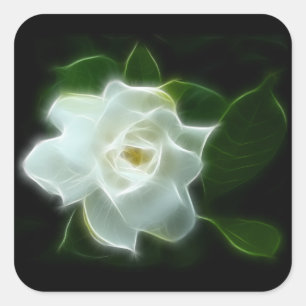White Gardenia Flower Plant Square Sticker