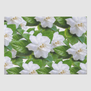 White gardenia flowers and green   tissue paper