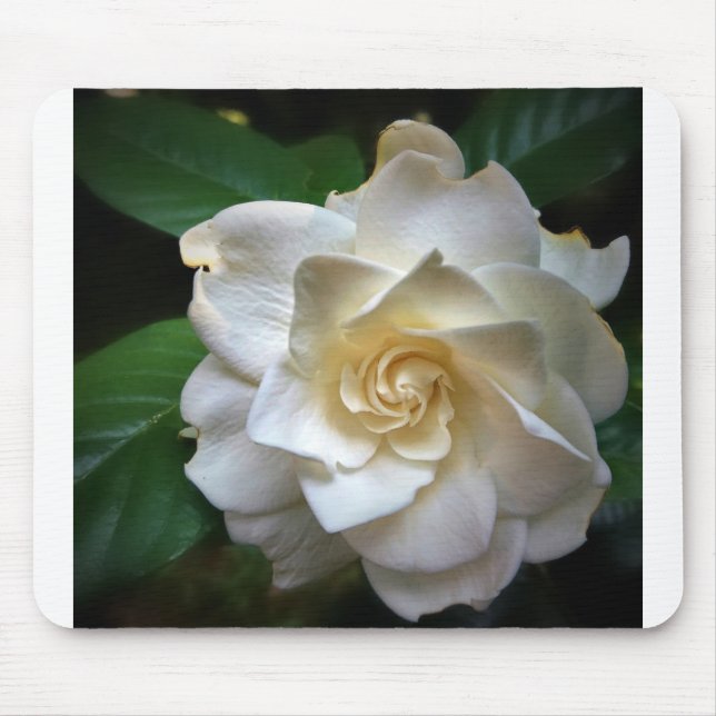 White Gardenia Mouse Pad (Front)