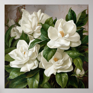 White Gardenias Flower Art Print Poster