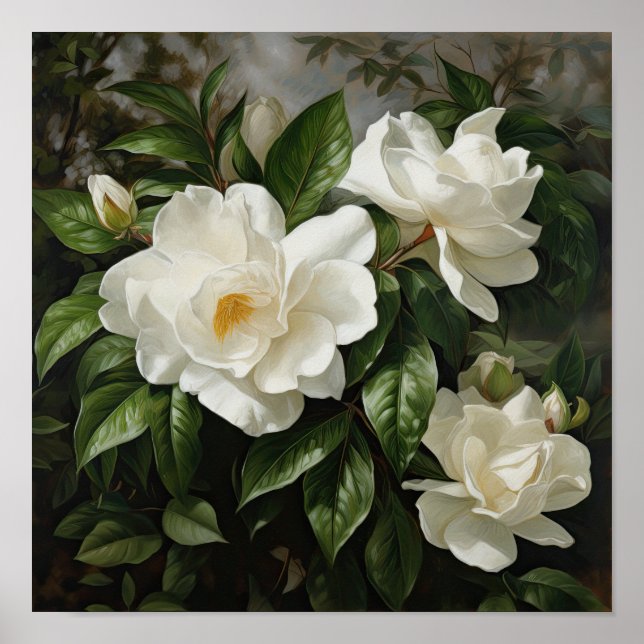 White Gardenias Flower Art Print Poster (Front)