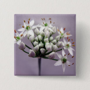White Garlic Chive Blossoms on Purple 15 Cm Square Badge