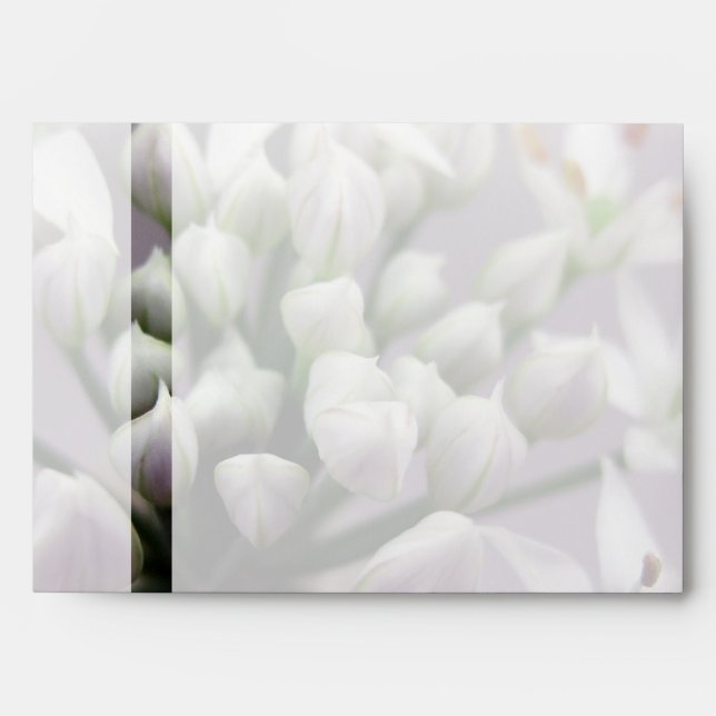 White Garlic Chive Blossoms on Purple Envelope (Front)