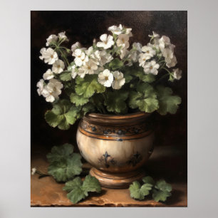 White Geranium Flowers Art Print Poster