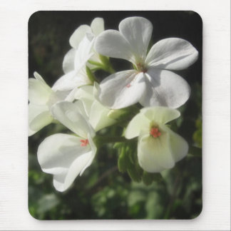 White Geraniums 1 - Simple Pleasures Mouse Pad