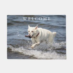 White German Shepard on Lake George Doormat