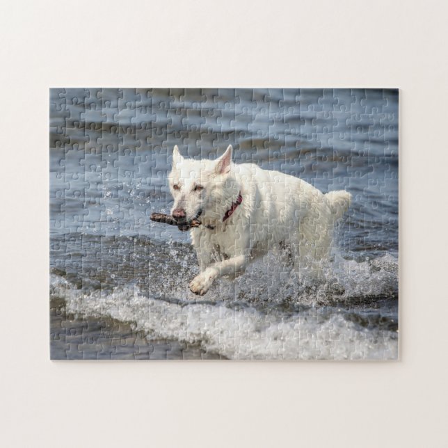 White German Shepard on Lake George Jigsaw Puzzle (Horizontal)