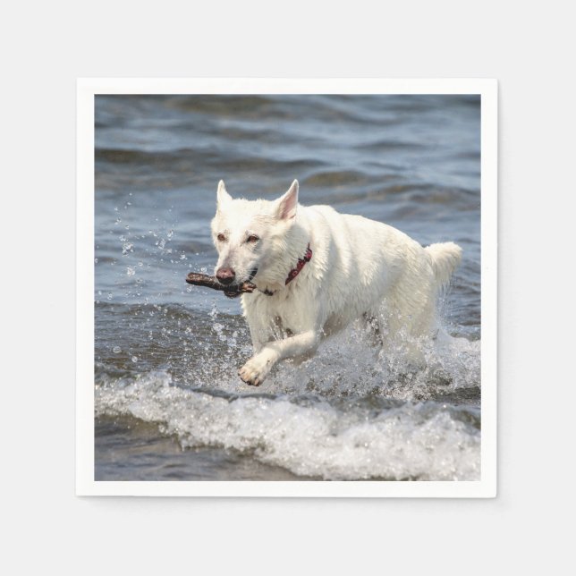White German Shepard on Lake George Napkin (Front)