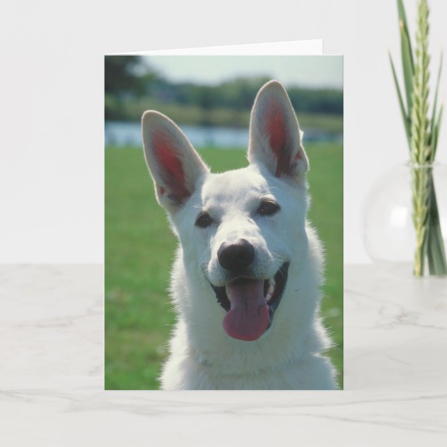 White German Shepherd Dog Card (Front)