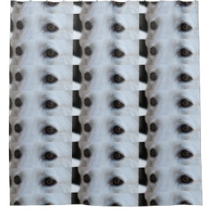 white german shepherd eyes shower curtain