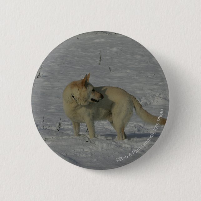 White German Shepherd  in the Snow 6 Cm Round Badge (Front)