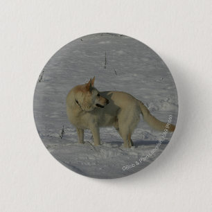 White German Shepherd in the Snow 6 Cm Round Badge