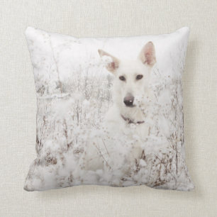 White German Shepherd in the Snow Cushion